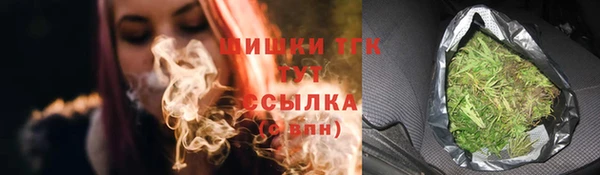 дмт Няндома