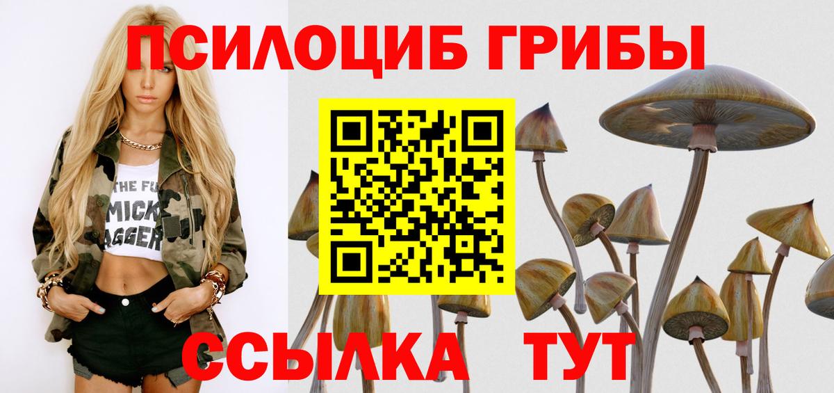 Псилоцибиновые грибы мицелий Камышин