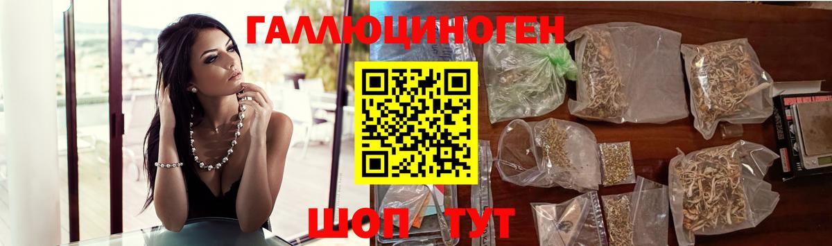 купить закладку  Вход с VPN  Псилоцибиновые грибы Magic Shrooms  Камышин  Галлюциногенные грибы MAGIC MUSHROOMS 