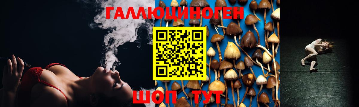 Альфа ПВП Камышин