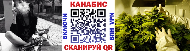Каннабис Amnesia  OMG tor  Камышин  сколько стоит 